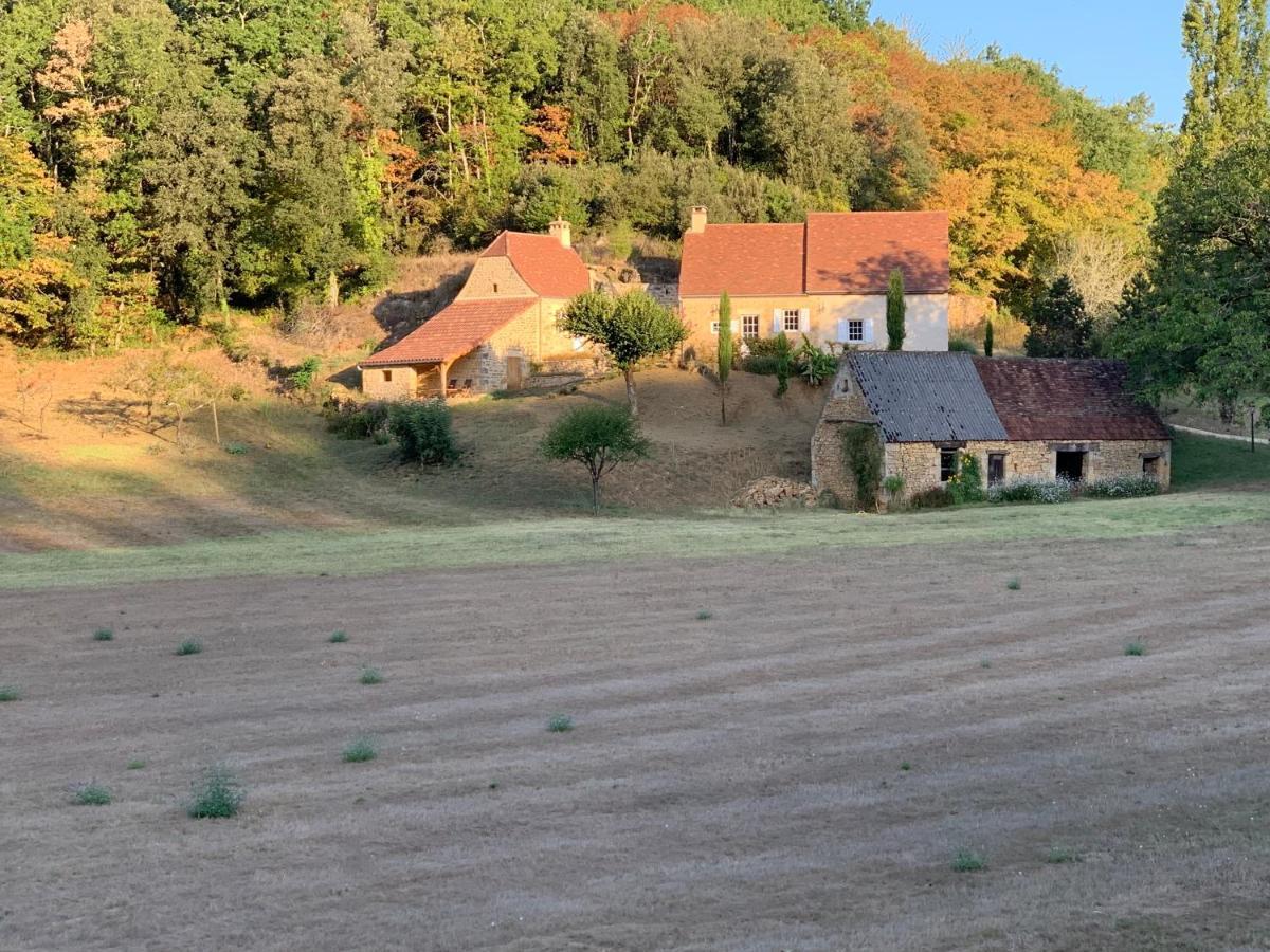 Gite Chez Le Gaulois Carsac-Aillac Esterno foto