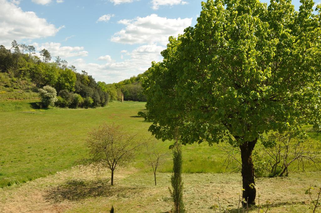 Gite Chez Le Gaulois Carsac-Aillac Esterno foto