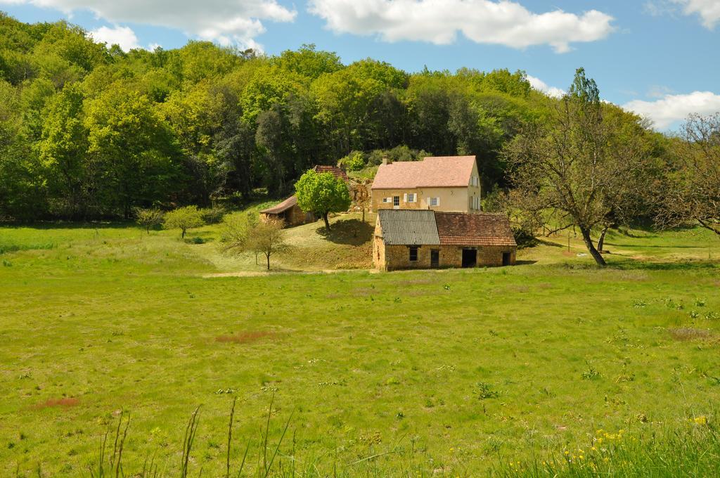 Gite Chez Le Gaulois Carsac-Aillac Esterno foto