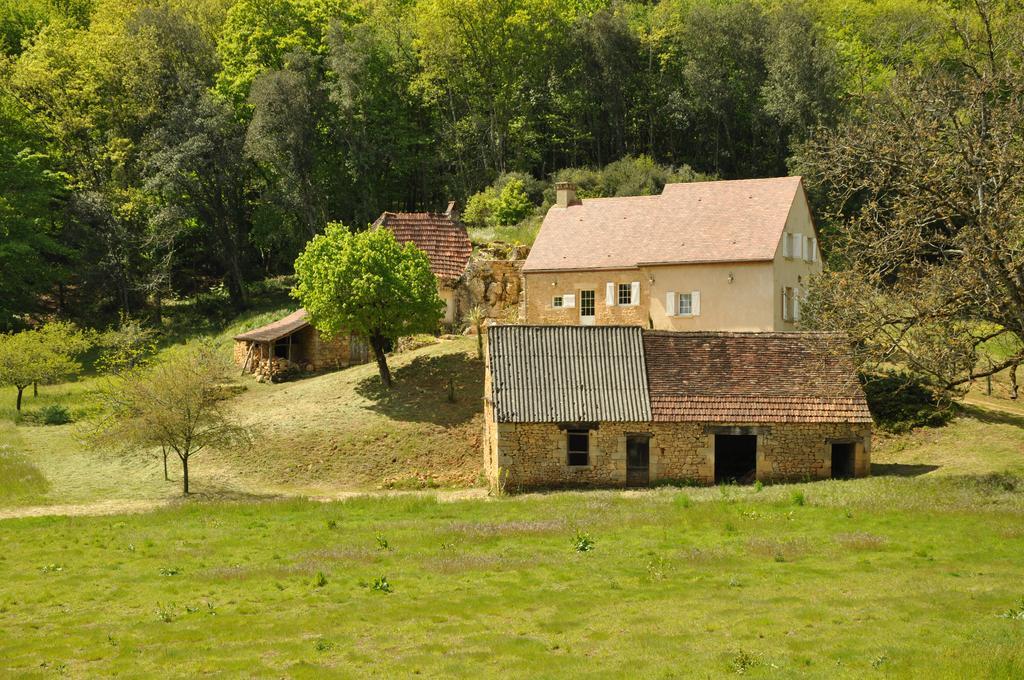 Gite Chez Le Gaulois Carsac-Aillac Esterno foto